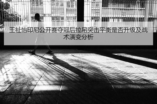 wang-zhi-yi-yin-ni-gong-kai-sai-duo-guan-hou-la-diao-tu-ji-ping-heng-shi-fou-sheng-ji-ji-zhan-shu-yan-bian-fen-xi-2-660.jpg